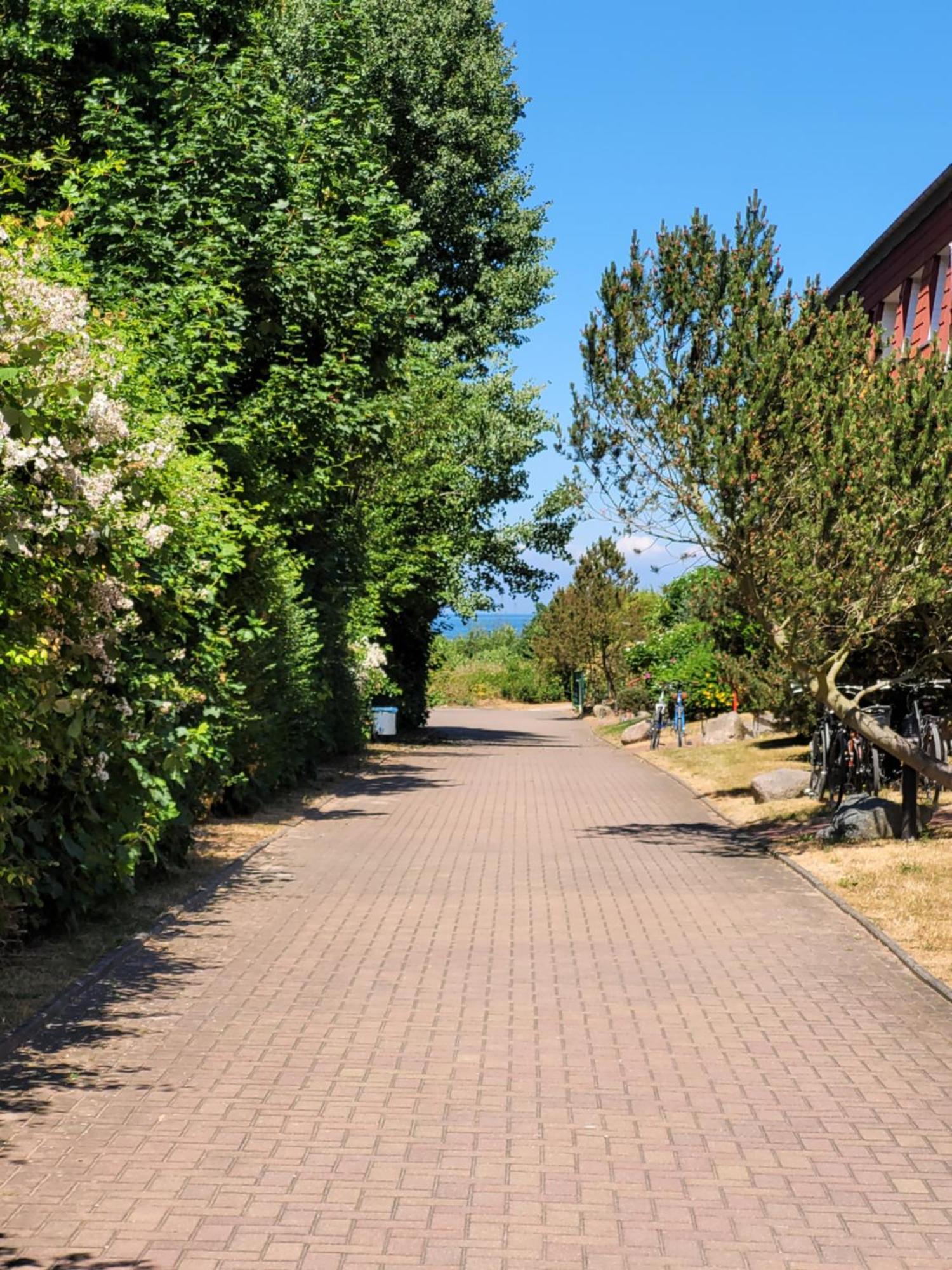 Appartement Im Duenengarten Ostseebad Kühlungsborn المظهر الخارجي الصورة